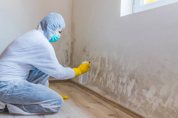 Crawl Space Mold Remediation treatment of floor joists in White Plains